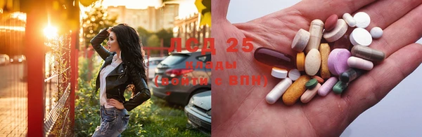 прущий лед Богданович