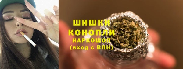 ГАЛЛЮЦИНОГЕННЫЕ ГРИБЫ Белокуриха