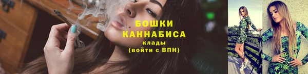прущий лед Богданович