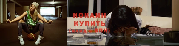 прущий лед Богданович