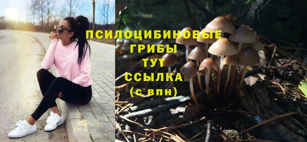 прущий лед Богданович