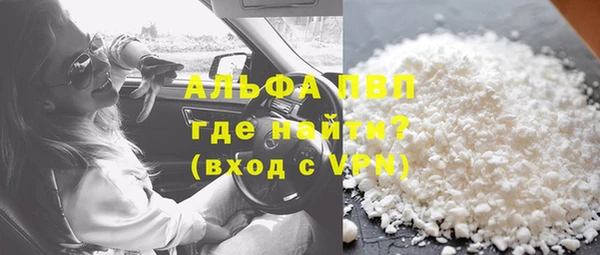 прущий лед Богданович