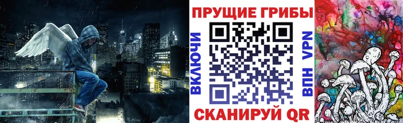 kraken Кировск Псилоцибиновые грибы мухоморы